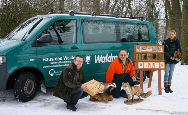 waldmobil.png